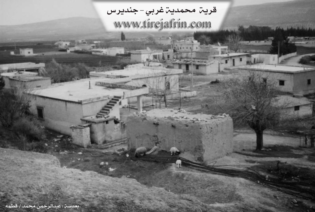 Photo of Mehmediyê Xerbî